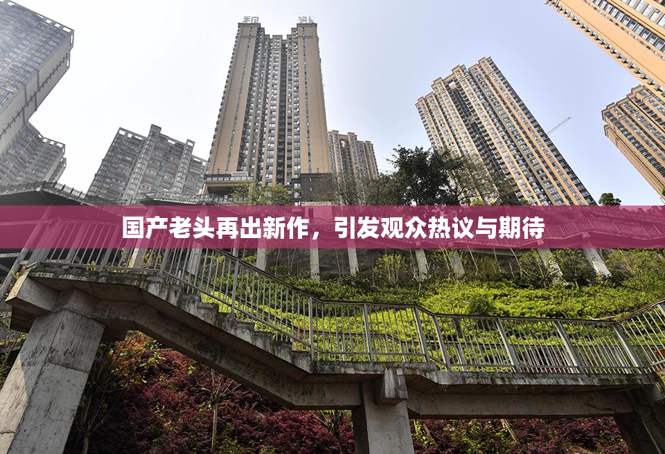 国产老头再出新作，引发观众热议与期待
