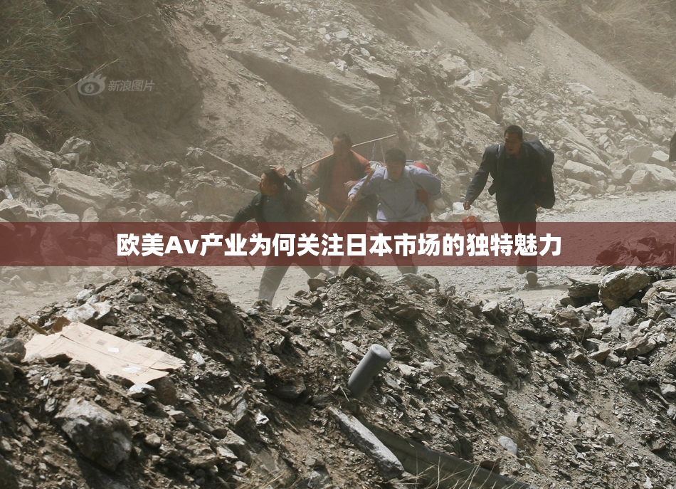 欧美Av产业为何关注日本市场的独特魅力