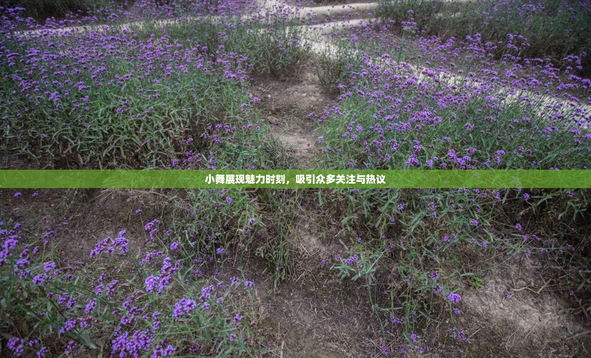 小舞展现魅力时刻，吸引众多关注与热议
