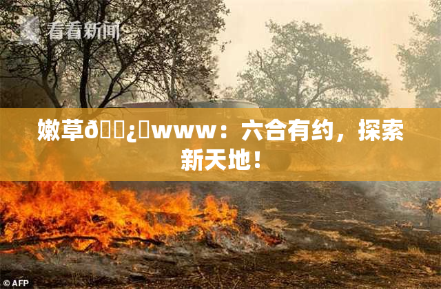 嫩草🌿‌www：六合有约，探索新天地！