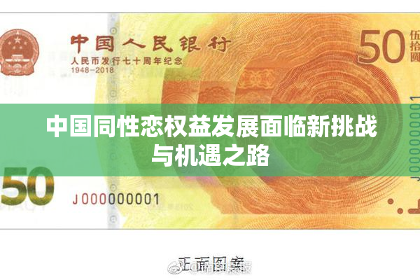 中国同性恋权益发展面临新挑战与机遇之路