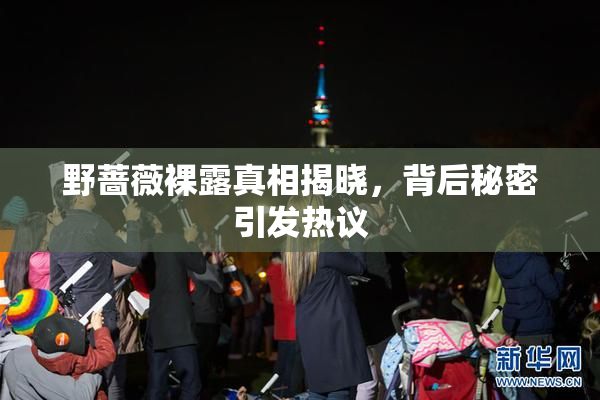 野蔷薇裸露真相揭晓，背后秘密引发热议