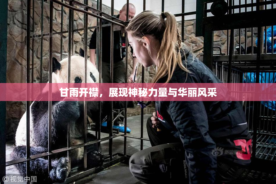 甘雨开襟，展现神秘力量与华丽风采