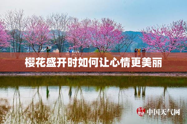 樱花盛开时如何让心情更美丽
