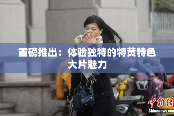 重磅推出：体验独特的特黄特色大片魅力