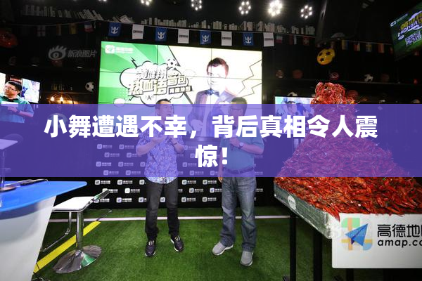 小舞遭遇不幸，背后真相令人震惊！