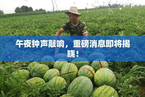 午夜钟声敲响，重磅消息即将揭晓！