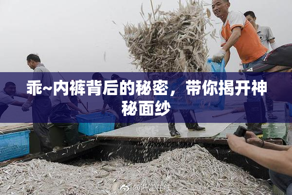 乖~内裤背后的秘密，带你揭开神秘面纱