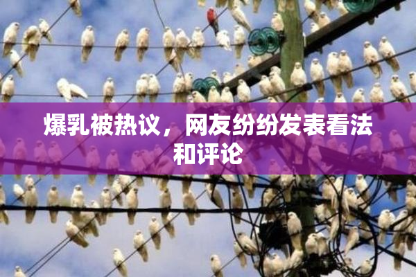 爆乳被热议，网友纷纷发表看法和评论