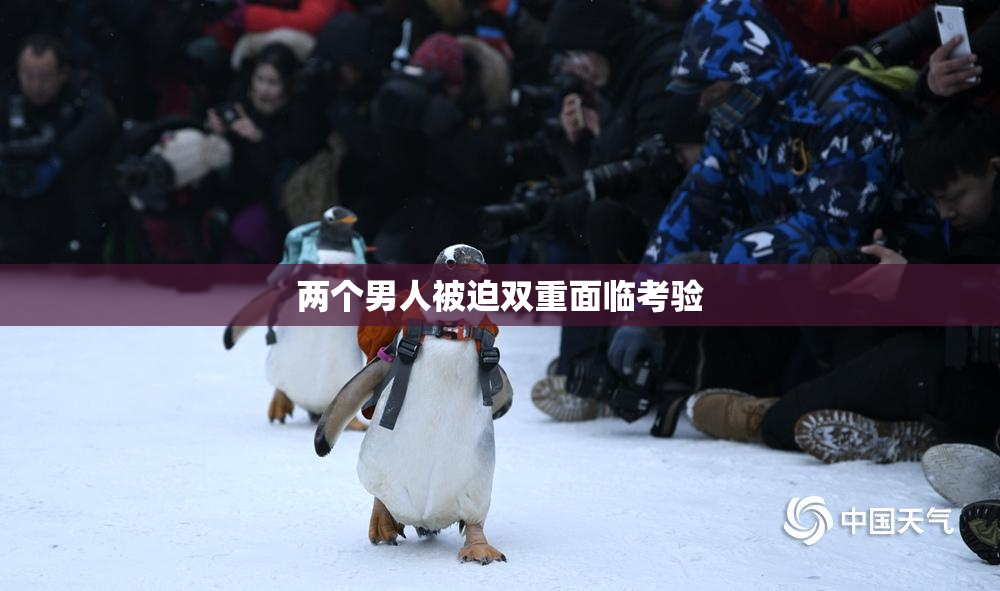 两个男人被迫双重面临考验