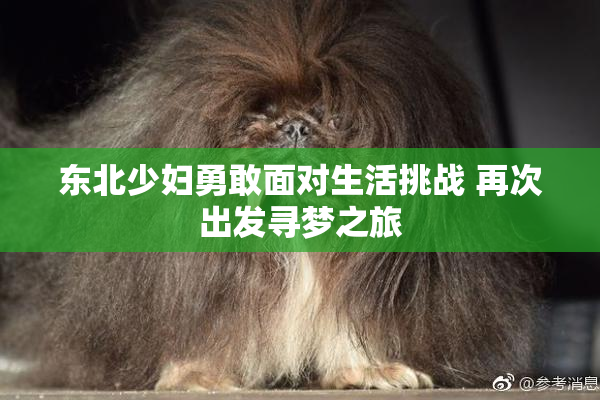 东北少妇勇敢面对生活挑战 再次出发寻梦之旅