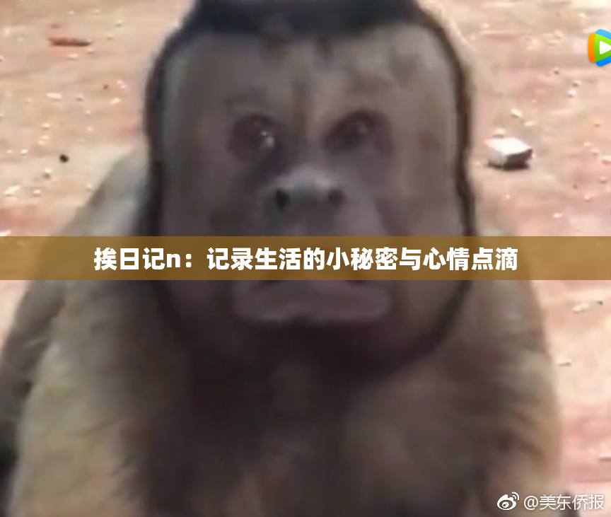 挨日记n：记录生活的小秘密与心情点滴