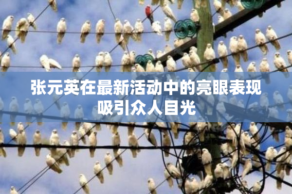 张元英在最新活动中的亮眼表现吸引众人目光