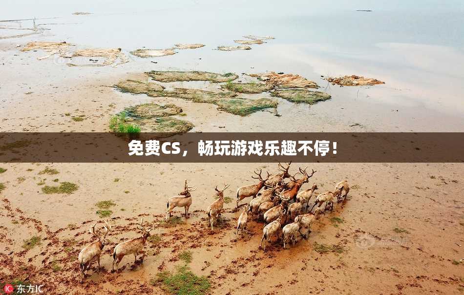 免费CS，畅玩游戏乐趣不停！