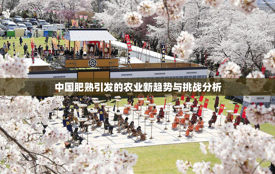中国肥熟引发的农业新趋势与挑战分析