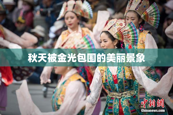 秋天被金光包围的美丽景象