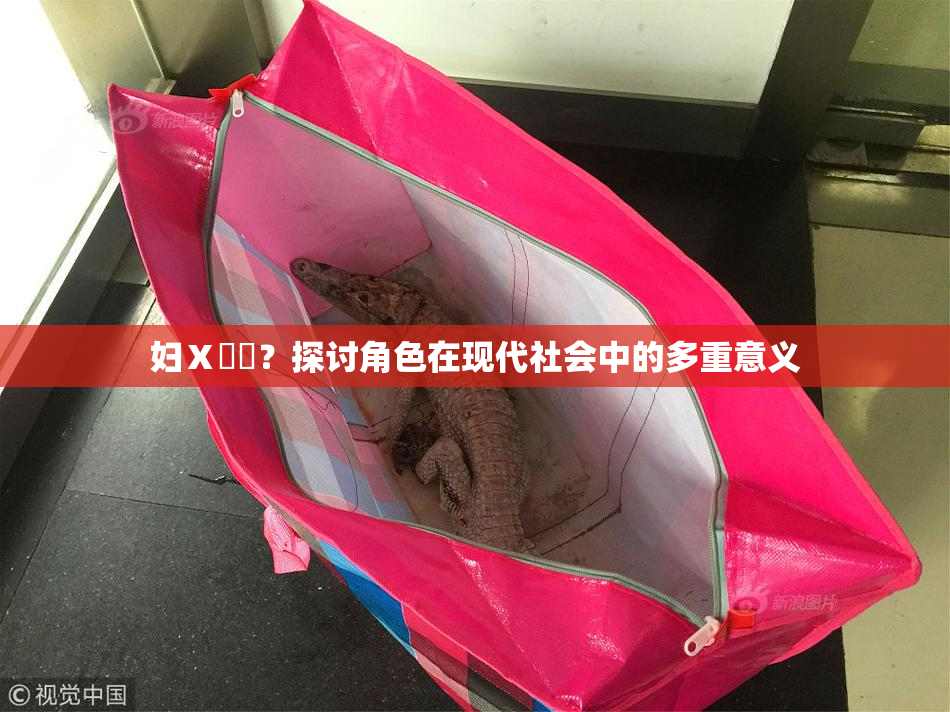 妇Ⅹ乄乂？探讨角色在现代社会中的多重意义