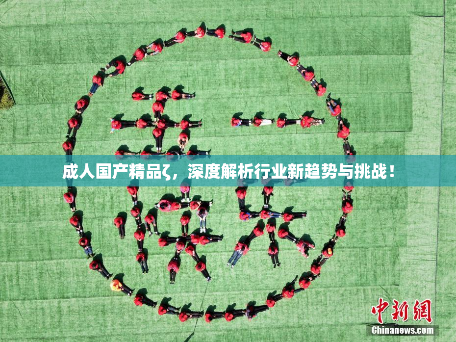 成人国产精品ζ，深度解析行业新趋势与挑战！