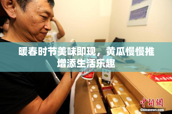 暖春时节美味即现，黄瓜慢慢推增添生活乐趣