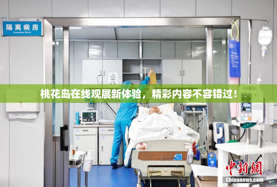 桃花岛在线观展新体验，精彩内容不容错过！