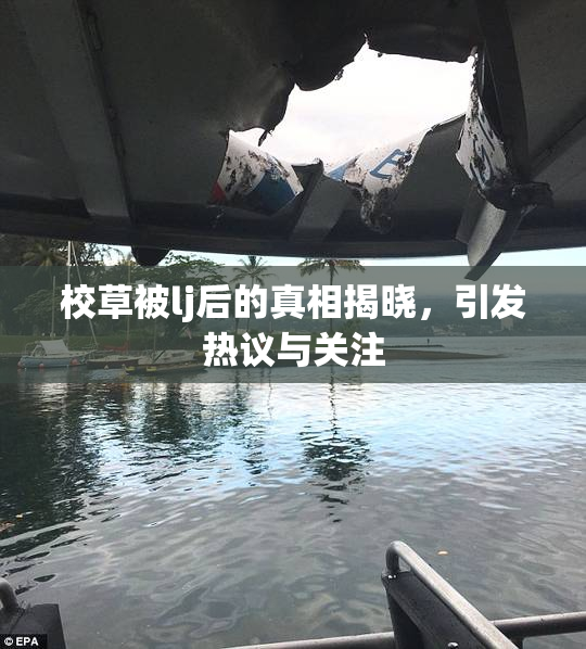 校草被lj后的真相揭晓，引发热议与关注