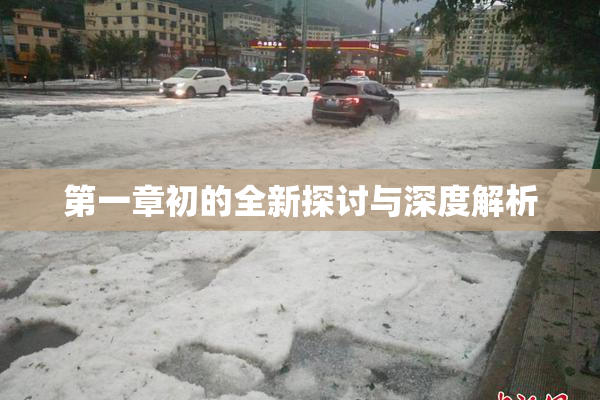 第一章初的全新探讨与深度解析