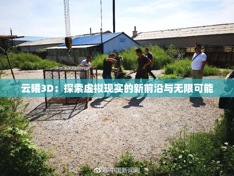 云曦3D：探索虚拟现实的新前沿与无限可能