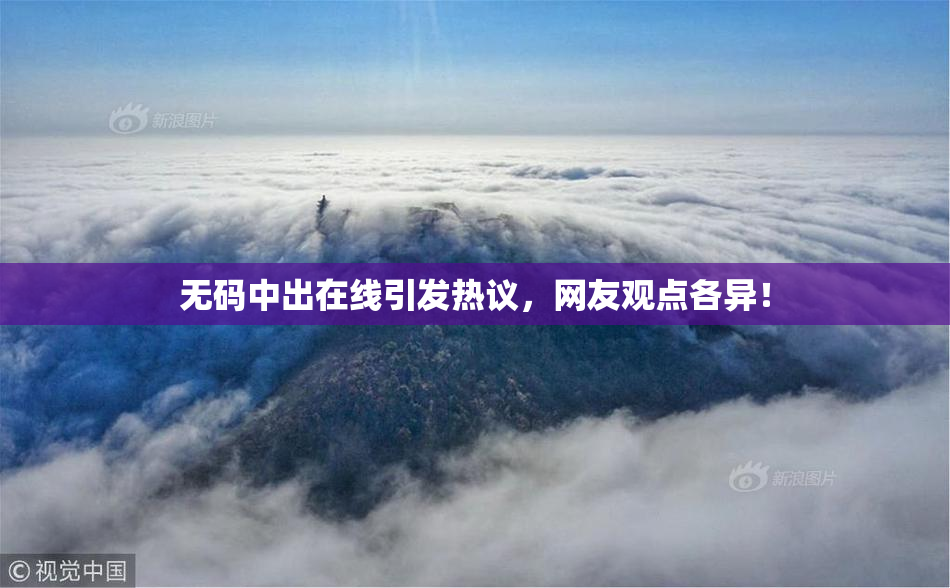 无码中出在线引发热议，网友观点各异！