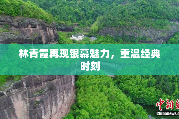 林青霞再现银幕魅力，重温经典时刻