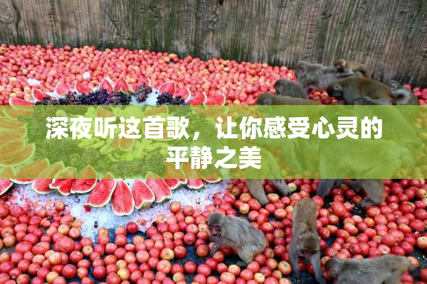 深夜听这首歌，让你感受心灵的平静之美