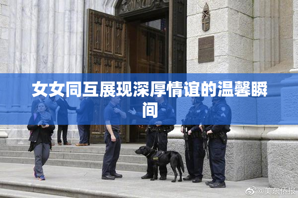 女女同互展现深厚情谊的温馨瞬间