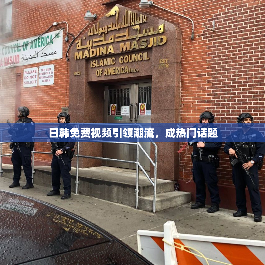 日韩免费视频引领潮流，成热门话题