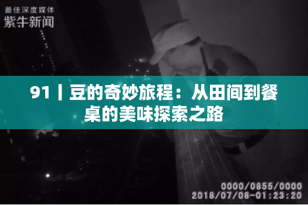 91丨豆的奇妙旅程：从田间到餐桌的美味探索之路