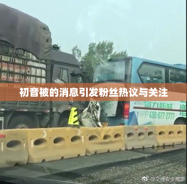 初音被的消息引发粉丝热议与关注