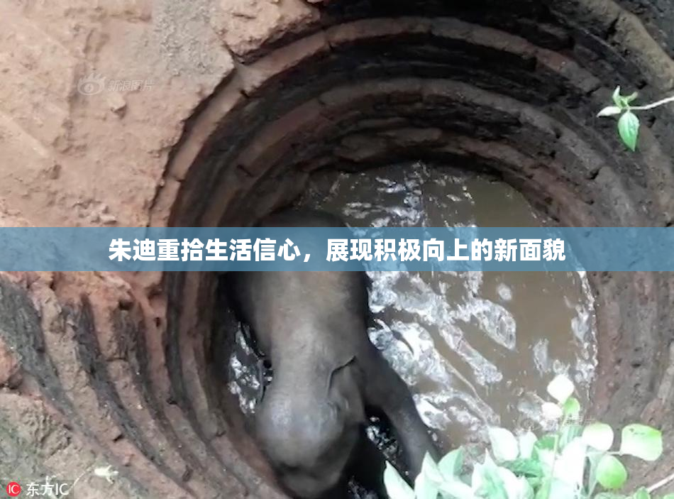 朱迪重拾生活信心，展现积极向上的新面貌