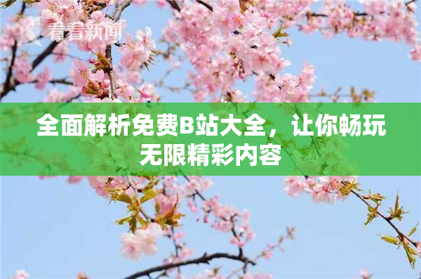 全面解析免费B站大全，让你畅玩无限精彩内容