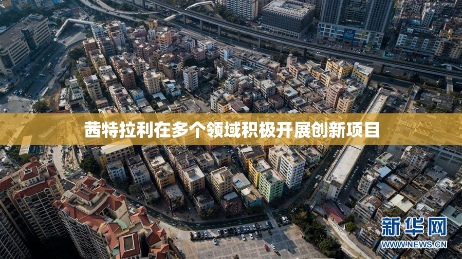 茜特拉利在多个领域积极开展创新项目