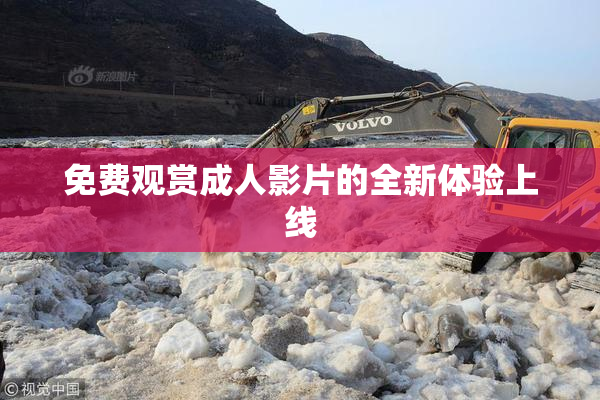 免费观赏成人影片的全新体验上线