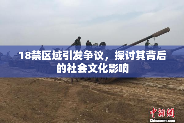 18禁区域引发争议，探讨其背后的社会文化影响
