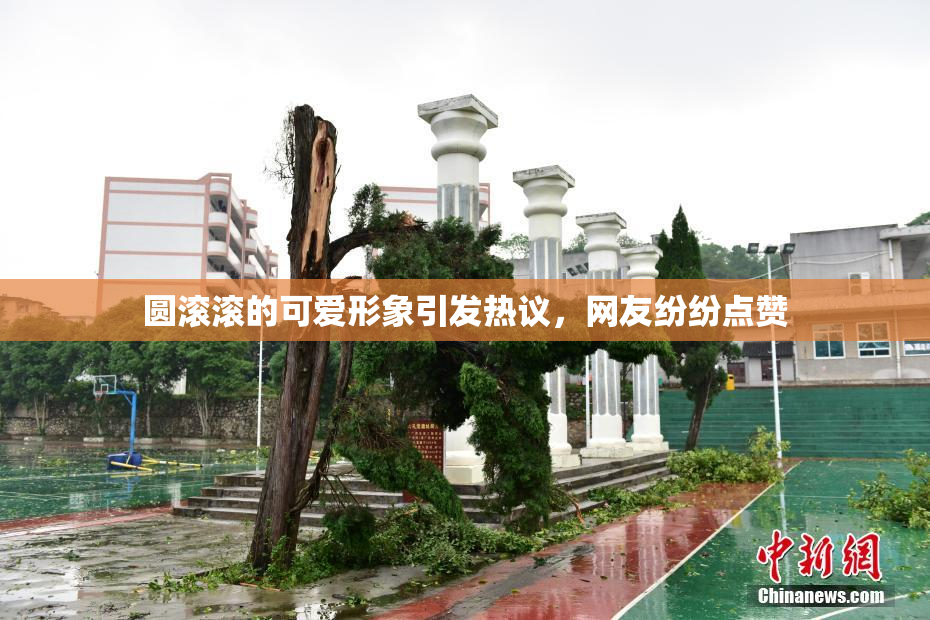 圆滚滚的可爱形象引发热议，网友纷纷点赞
