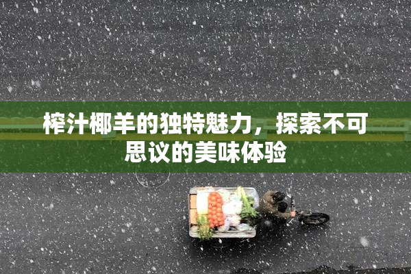榨汁椰羊的独特魅力，探索不可思议的美味体验
