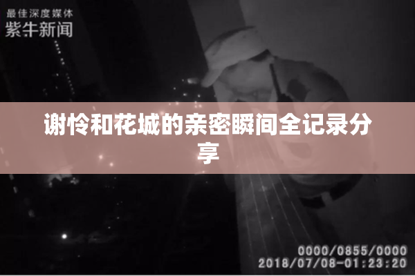 谢怜和花城的亲密瞬间全记录分享