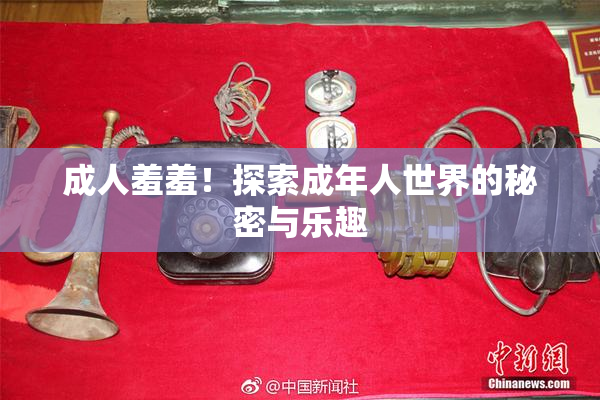 成人羞羞！探索成年人世界的秘密与乐趣