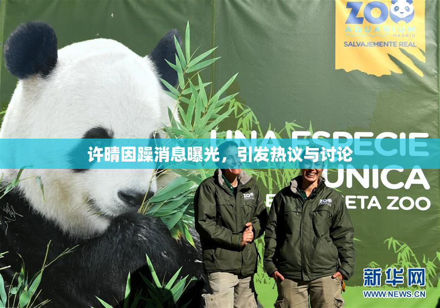 许晴因躁消息曝光，引发热议与讨论