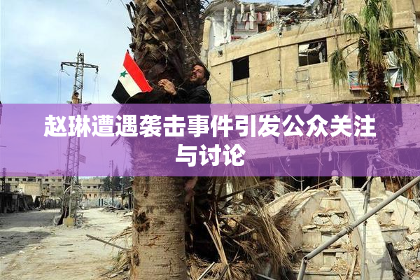 赵琳遭遇袭击事件引发公众关注与讨论