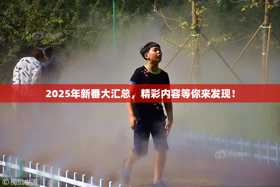 2025年新番大汇总，精彩内容等你来发现！