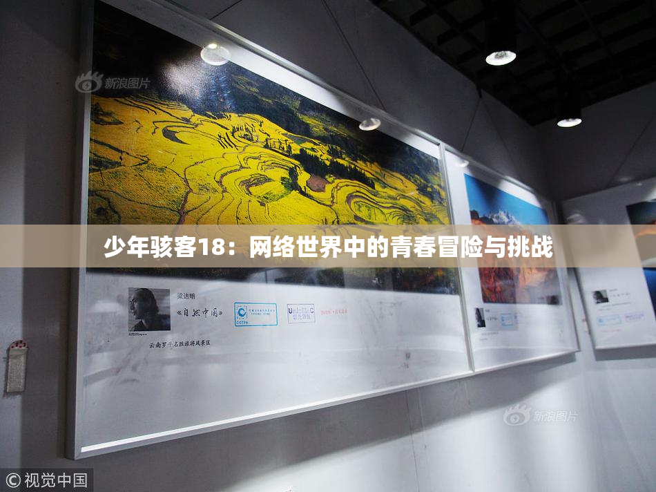 少年骇客18：网络世界中的青春冒险与挑战