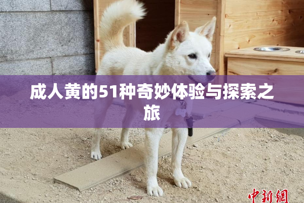 成人黄的51种奇妙体验与探索之旅
