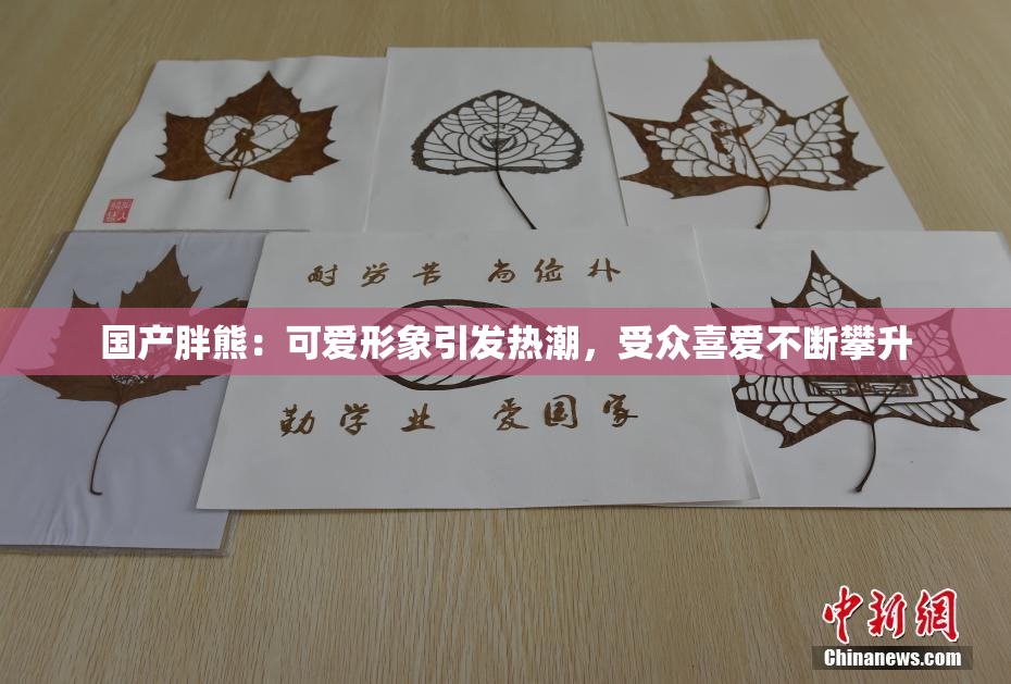 国产胖熊：可爱形象引发热潮，受众喜爱不断攀升