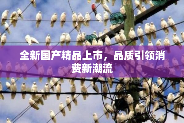 全新国产精品上市，品质引领消费新潮流
